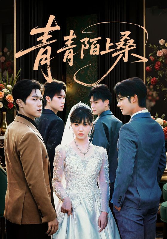 热门短剧青青陌上桑70集全集完整版免费在线播放观看未删减版，百度网盘夸克网盘免费资源分享下载  第1张