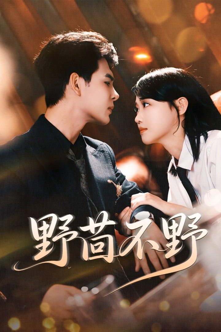 热门短剧野茴不野67集全集超清未删减版 靳旺龚芳妮主演 免费在线观看播放 百度网盘夸克网盘资源下载分享