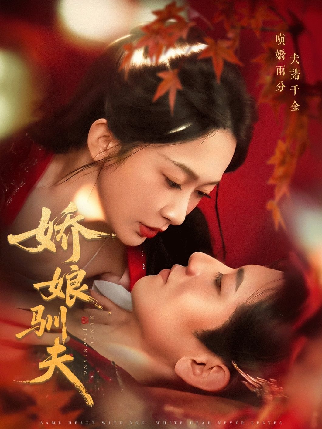 热门短剧娇娘驯夫82集王金宝迟宁宁主演,全集完整版免费无广告在线观看+未删减百度网盘夸克网盘资源下载 第1张 热门短剧娇娘驯夫82集王金宝迟宁宁主演,全集完整版免费无广告在线观看+未删减百度网盘夸克网盘资源下载 第1张