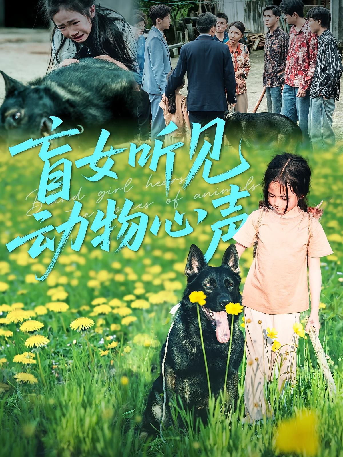 盲女听见动物心声61集全集完整版免费在线观看未删减版，百度网盘夸克网盘资源下载  第1张