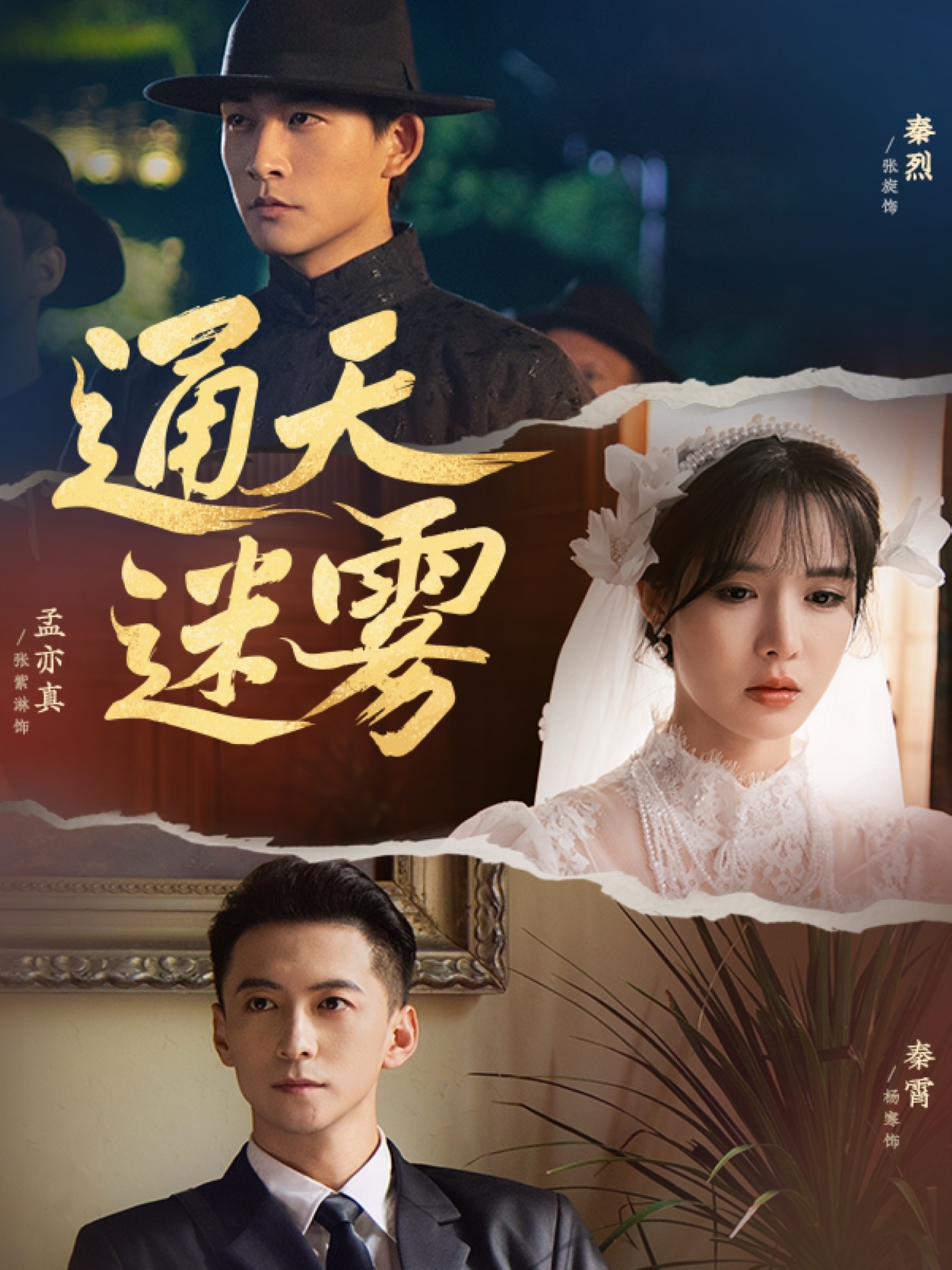 通天迷雾76集张旋杨寒张紫淋主演 全集完整版未删减免费在线观看 百度网盘夸克网盘资源秒存下载分享  第1张