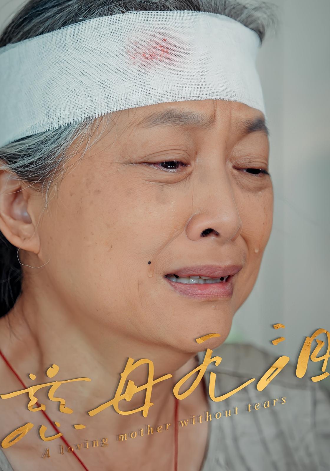 热门短剧慈母无泪（30集）最新全集完整版未删减，免费在线观看播放，百度网盘夸克网盘免费资源分享下载  第1张