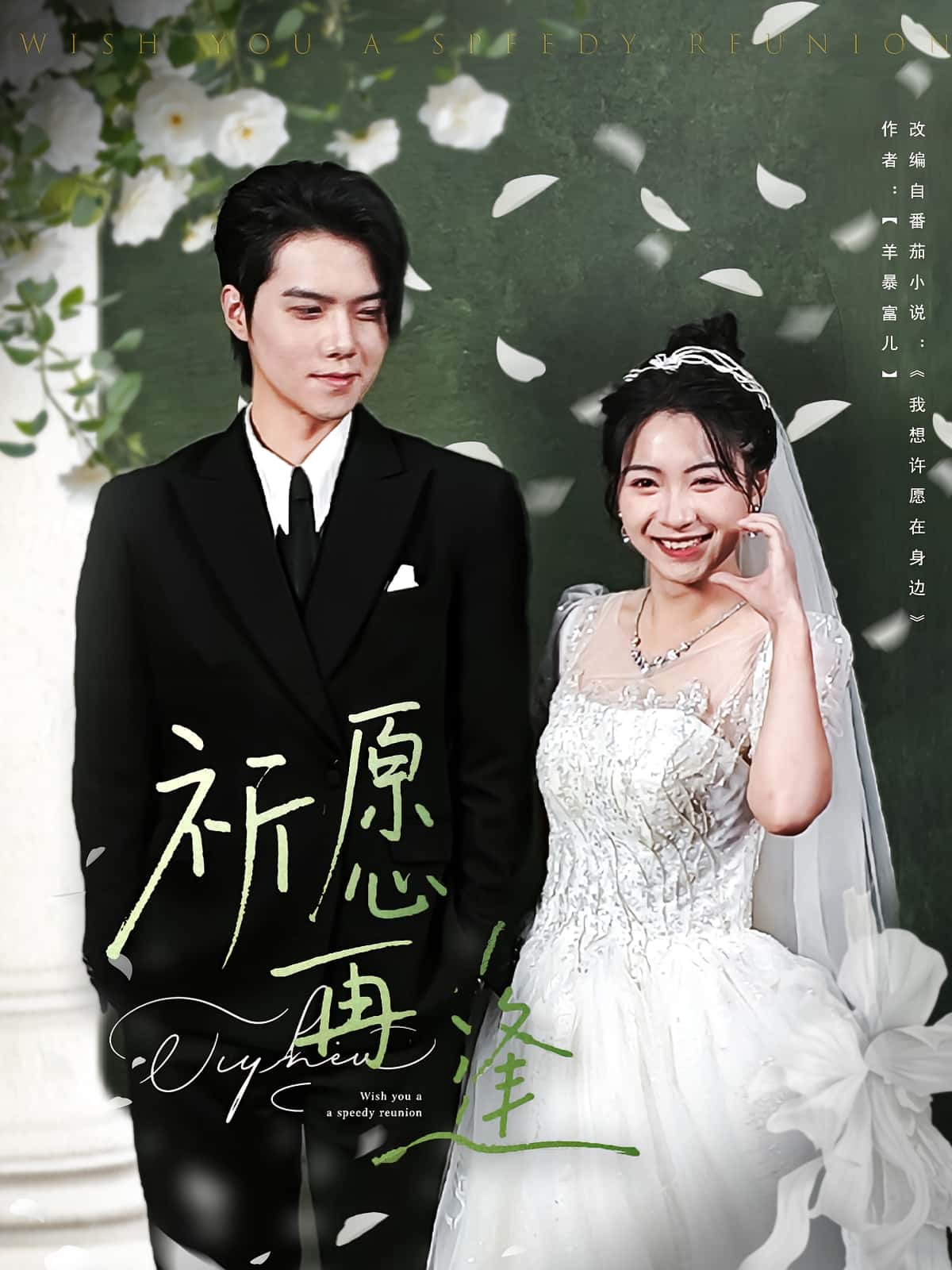 热门短剧祈愿再逢（80集）全集完整版未删减，免费在线观看播放，百度网盘夸克网盘资源分享下载，极速更新无广告  第1张