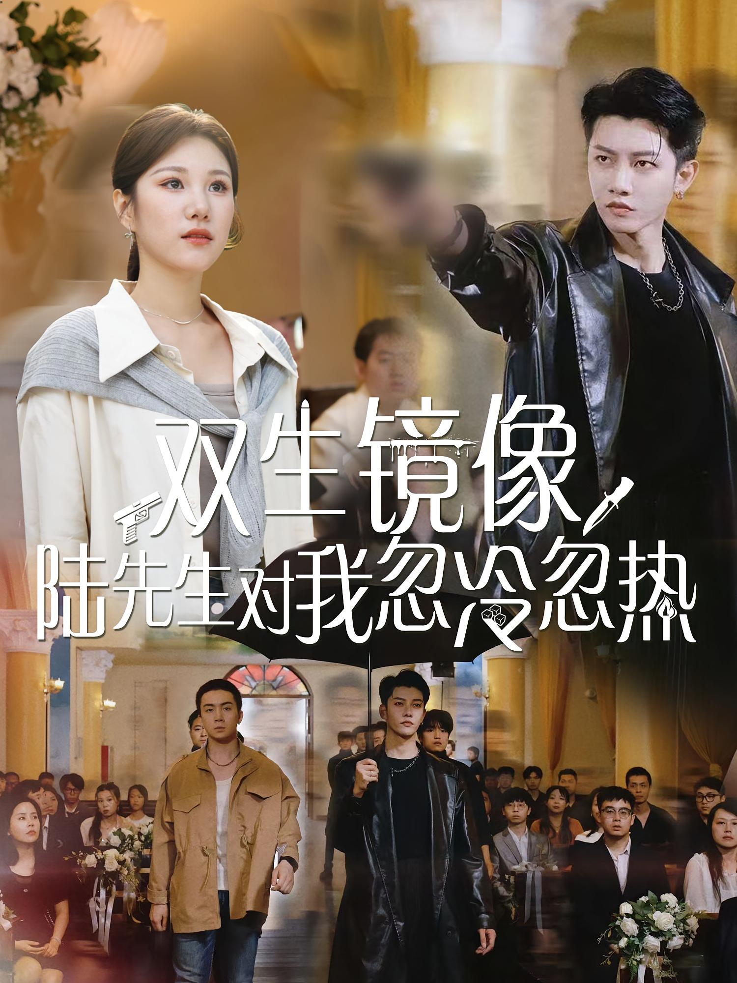 双生镜像陆先生对我忽冷忽热61集全集完整版免费观看在线播放未删减版，百度网盘夸克网盘免费资源分享下载  第1张