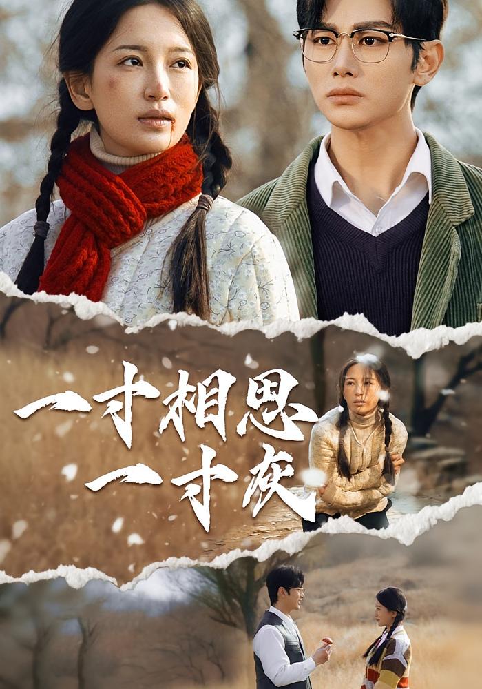 热门短剧一寸相思一寸灰43集全集完整版高清未删减,免费在线观看播放,百度网盘夸克网盘免费资源分享下载