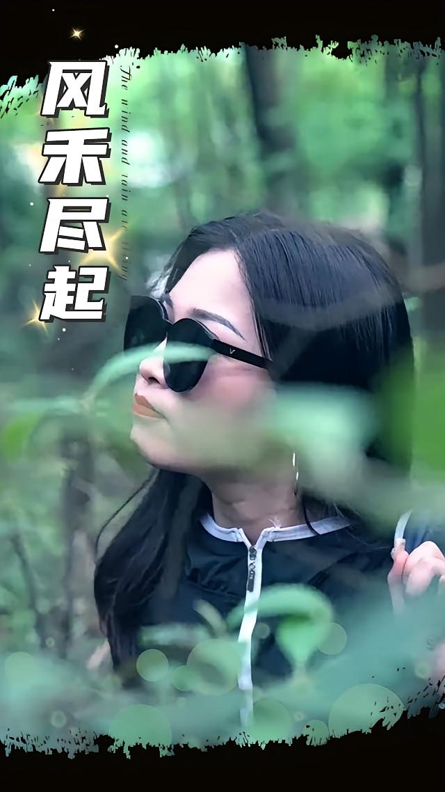 风禾尽起（31集）全集完整版免费无广告在线观看未删减版，百度网盘夸克网盘免费资源分享下载  第1张