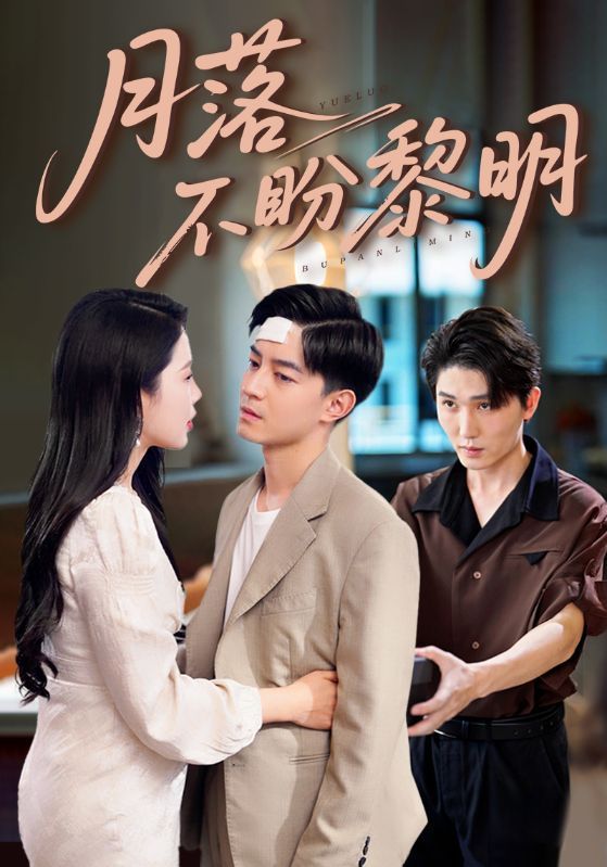 热门短剧月落不盼黎明64集丁海霞&贺龙天全集完整版免费免注册在线观看未删减版，百度网盘夸克网盘免费资源下载  第1张