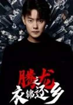 热门短剧腾龙之衣锦还乡邱浩轩30集全集完整版纯净免费在线观看未删减版 百度网盘夸克网盘资源分享下载 第1张 热门短剧腾龙之衣锦还乡邱浩轩30集全集完整版纯净免费在线观看未删减版 百度网盘夸克网盘资源分享下载 第1张