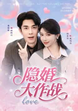 隐婚大作战（82集秦琛琛林君怡）全集完整版未删减免费在线观看，百度网盘夸克网盘资源分享下载  第1张