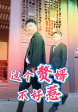 热门短剧这个赘婿不好惹(27集)全集完整版免费在线观看未删减,百度网盘夸克网盘资源稳定下载分享,高清播放无广告 第1张 热门短剧这个赘婿不好惹(27集)全集完整版免费在线观看未删减,百度网盘夸克网盘资源稳定下载分享,高清播放无广告 第1张