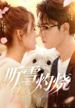 热门短剧听雪灼烧68集全集完整版免费播放在线观看未删减版，主演希尔力刘美娜，百度网盘夸克网盘免费资源分享下载  第1张