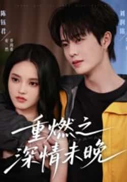热门短剧重燃之深情未晚全集完整版免费在线观看无需注册，未删减版资源，百度网盘夸克网盘免费下载分享  第1张