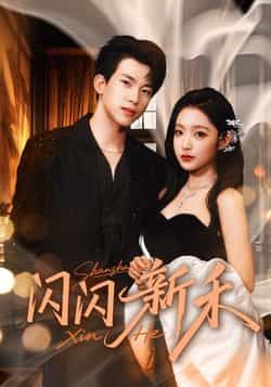 热门短剧《闪闪新禾》 全集完整版免费在线观看播放未删减版资源，短剧百度网盘夸克网盘免费资源速存分享下载  第1张