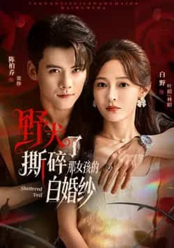 热门短剧野犬撕碎了那女孩的白婚纱全集完整版免费在线观看未删减版 百度网盘夸克网盘资源下载分享