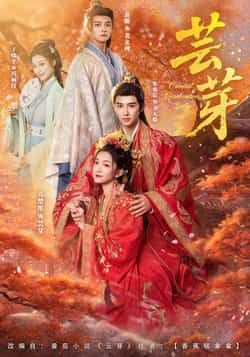 热门短剧芸芽全集完整版免费无需注册在线观看未删减版,百度网盘夸克网盘免费资源分享下载,高清流畅观看资源直达 第1张 热门短剧芸芽全集完整版免费无需注册在线观看未删减版,百度网盘夸克网盘免费资源分享下载,高清流畅观看资源直达 第1张