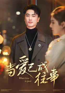 热门短剧当爱已成往事全集完整版未删减免费在线观看播放，百度网盘夸克网盘免费资源秒存分享下载  第1张