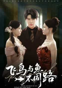 热门短剧飞鸟与鱼不同路全集完整版免费在线观看无卡顿未删减版，百度网盘夸克网盘资源分享下载  第1张