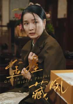 热门短剧金屋藏凤最新全集完整版免费在线观看未删减版,百度网盘夸克网盘资源分享下载 第1张 热门短剧金屋藏凤最新全集完整版免费在线观看未删减版,百度网盘夸克网盘资源分享下载 第1张