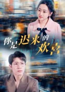 你是迟来的欢喜全集未删减版免费在线观看，百度网盘夸克网盘资源分享下载，热门短剧完整版播放资源
