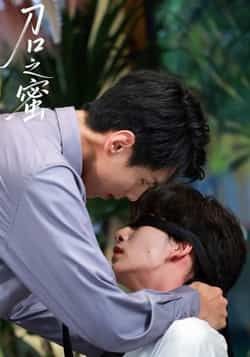 热门短剧刀口之蜜全集完整版免费在线观看,未删减版高清播放,百度网盘夸克网盘免费资源分享下载,更新及时无广告,欢迎收藏观看! 第1张 热门短剧刀口之蜜全集完整版免费在线观看,未删减版高清播放,百度网盘夸克网盘免费资源分享下载,更新及时无广告,欢迎收藏观看! 第1张