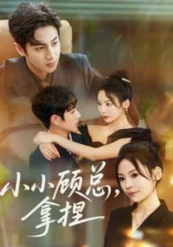 热门短剧小小顾总拿捏全集完整版未删减免费在线观看,百度网盘夸克网盘免费资源秒存分享下载,高清畅看全剧