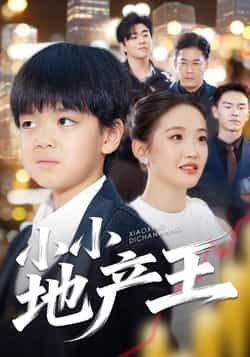 热门短剧小小地产王全集完整版更新完毕，免费在线观看未删减版，百度网盘夸克网盘资源分享下载