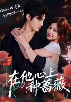 热门短剧在他心上种蔷薇最新全集完整版未删减免费在线观看，百度网盘夸克网盘免费资源下载分享