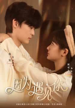 热门短剧因为遇见你全集完整版更新完毕，免费在线观看未删减版，附百度网盘夸克网盘免费资源分享下载