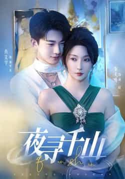 夜寻千山全集完整版免费在线观看未删减版,百度网盘夸克网盘免费资源秒存分享下载