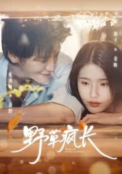 热门短剧野草疯长全集完整版更新完毕，免费在线观看未删减版，百度网盘夸克网盘资源分享下载，全集在线播放未删减资源免费看