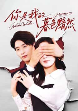 热门短剧你是我的暮色黯然全集完整版未删减免费在线观看,百度网盘夸克网盘资源下载分享
